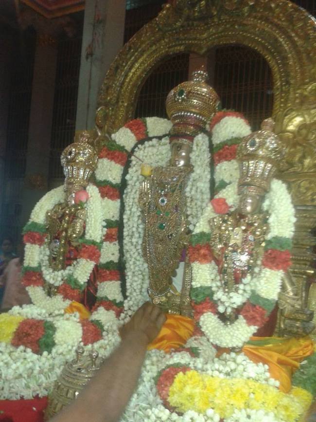 thiruvallur Sri Veeraraghava Perumal Ugadhi Purapadu 21-03-2015  3