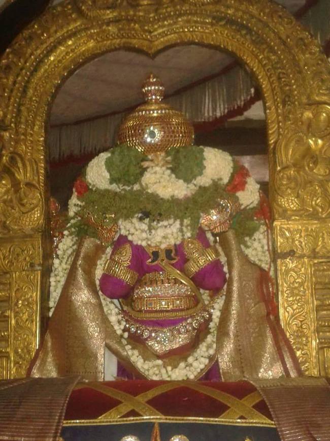 thiruvallur Sri Veeraraghava Perumal Ugadhi Purapadu 21-03-2015  4