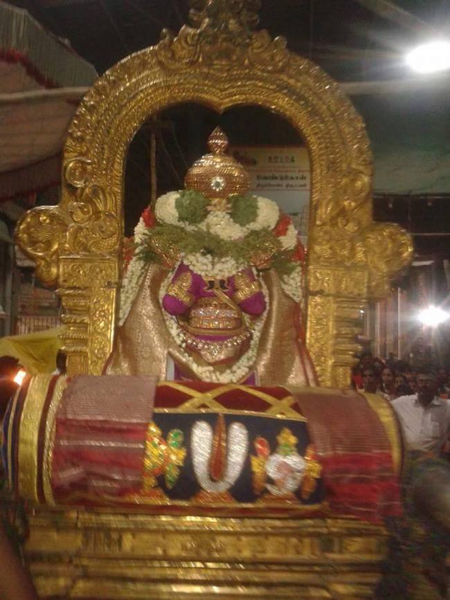 thiruvallur Sri Veeraraghava Perumal Ugadhi Purapadu 21-03-2015  7