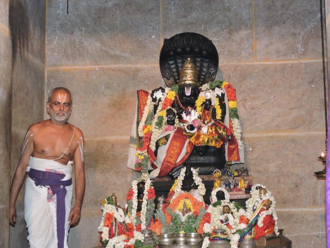 25th apr 15 - srimath azhagiyasingar vijayam (3)