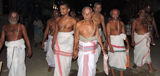6th apr 15 - 7 to 9pm - thiruvellarai hanumantha vahanam (10)