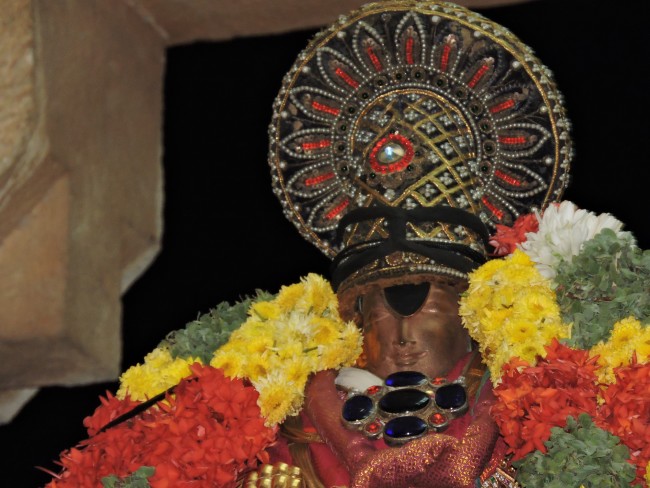 6th apr 15 - 7 to 9pm - thiruvellarai hanumantha vahanam (40)