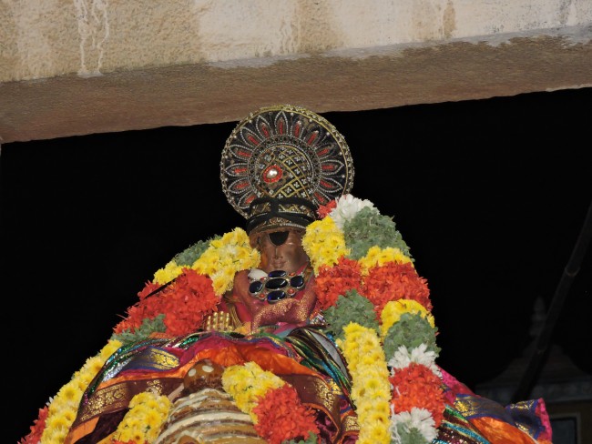 6th apr 15 - 7 to 9pm - thiruvellarai hanumantha vahanam (42)