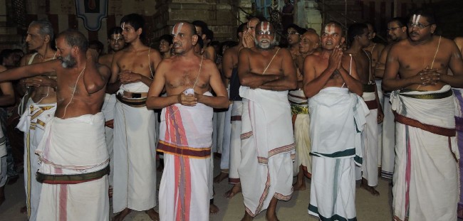 6th apr 15 - 7 to 9pm - thiruvellarai hanumantha vahanam (7)
