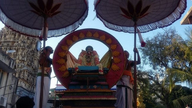 Aminjikarai Sri Prasanna Varadaraja Perumal Temple Sri Ramanujar Avatara Utsavam7