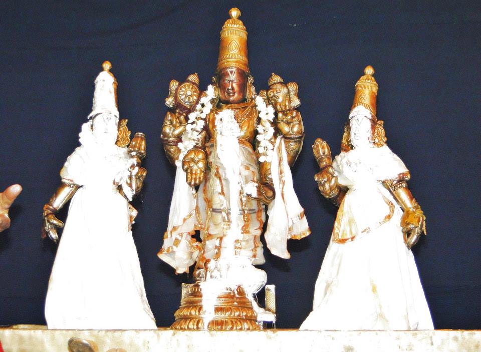 Fanswadi Sri Blaji VanaMahotsavam Thirumanjan (1)