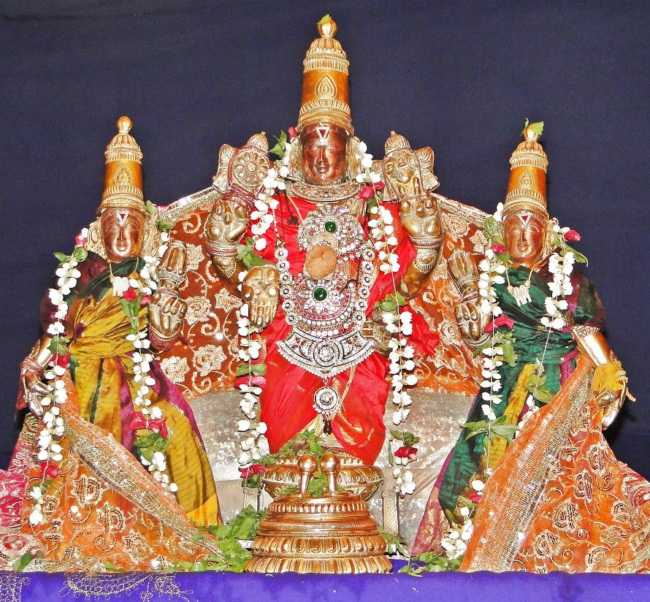Fanswadi Sri Blaji VanaMahotsavam Thirumanjan (18)