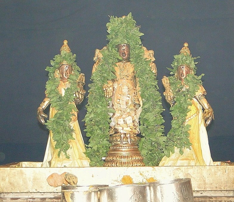 Fanswadi Sri Blaji VanaMahotsavam Thirumanjan (19)
