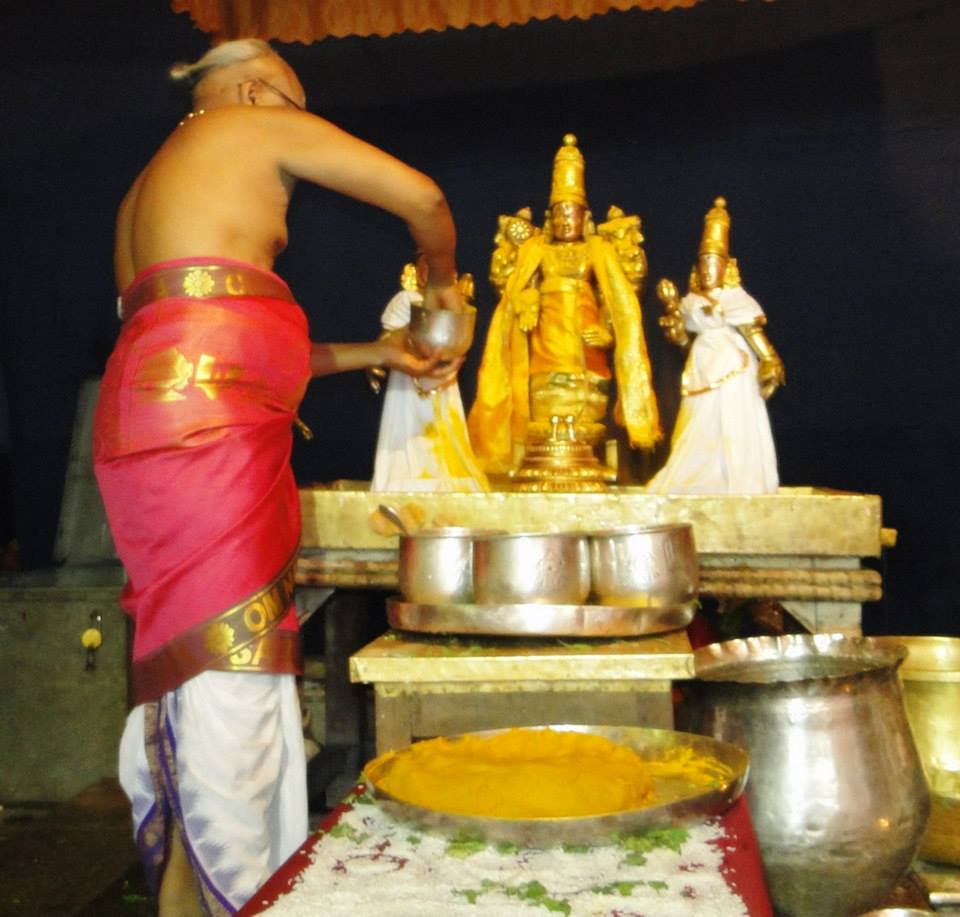Fanswadi Sri Blaji VanaMahotsavam Thirumanjan (3)