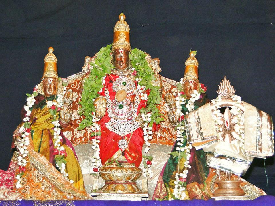 Fanswadi Sri Blaji VanaMahotsavam Thirumanjan (7)