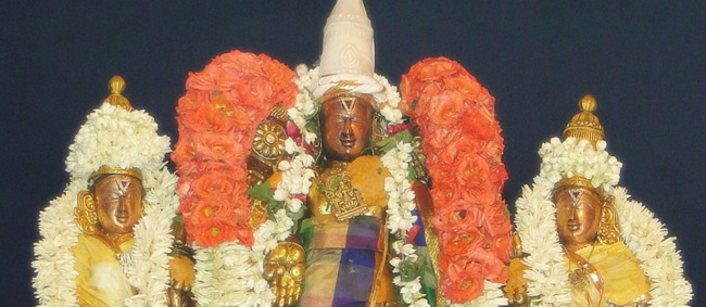 Fanswadi Sri Blaji VanaMahotsavam Thirumanjan (9)