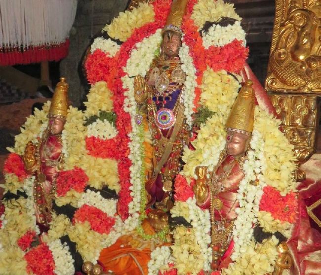 Kanchi Sri Devaperumal Chithirai Ekadasi Purappau  2015 05