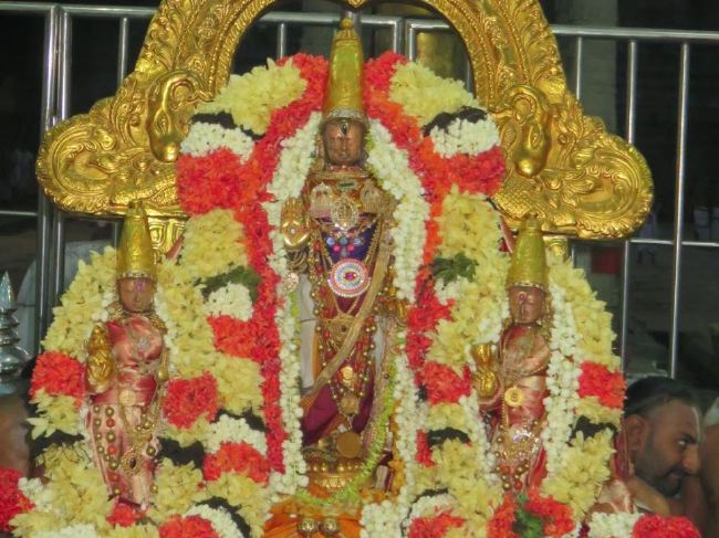 Kanchi Sri Devaperumal Chithirai Ekadasi Purappau  2015 07
