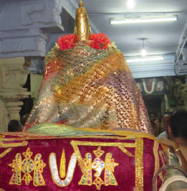 Kanchi Sri Devaperumal Chithirai Ekadasi Purappau  2015 30