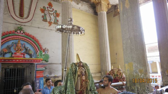 Kanchi Sri Devaperumal Manmadha Ammavasai Purappadu  2015 03