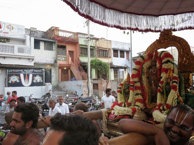 Kanchi Sri Devaperumal Manmadha Ammavasai Purappadu  2015 06