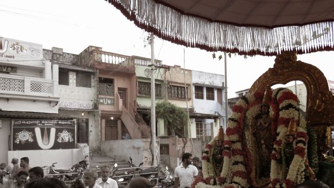 Kanchi Sri Devaperumal Manmadha Ammavasai Purappadu  2015 07