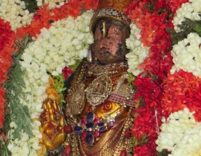 Kanchi Sri Devaperumal Manmadha Ammavasai Purappadu  2015 09