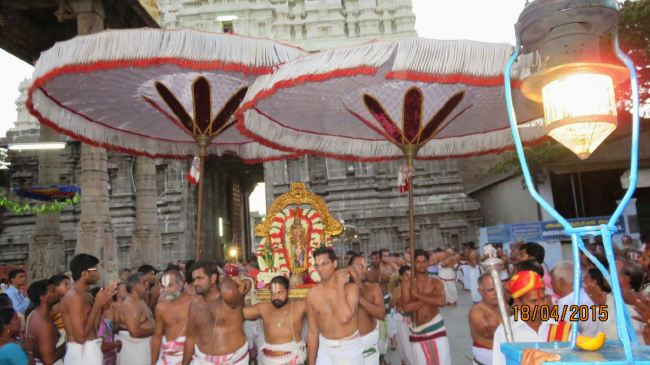 Kanchi Sri Devaperumal Manmadha Ammavasai Purappadu  2015 12