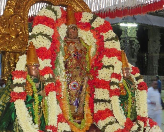Kanchi Sri Devaperumal Manmadha Ammavasai Purappadu  2015 17