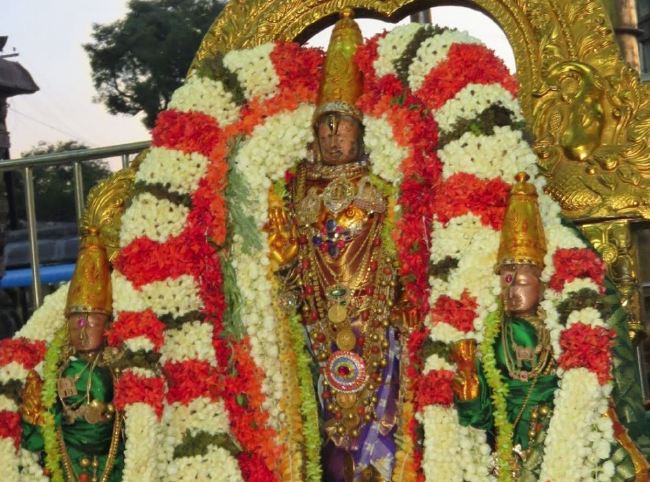 Kanchi Sri Devaperumal Manmadha Ammavasai Purappadu  2015 21