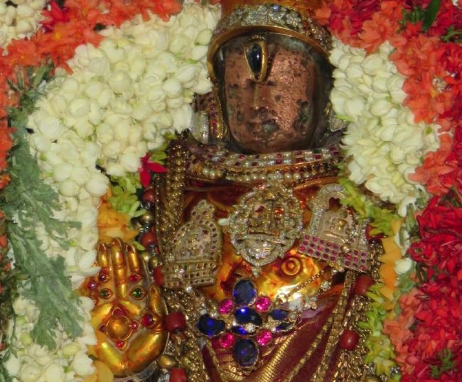 Kanchi Sri Devaperumal Manmadha Ammavasai Purappadu  2015 23