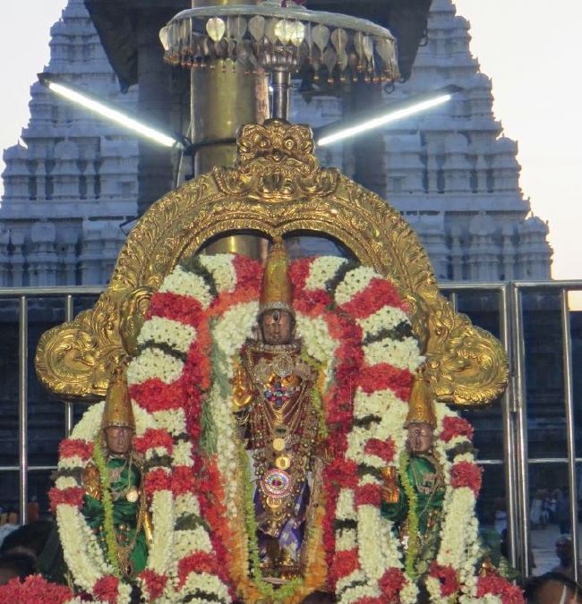 Kanchi Sri Devaperumal Manmadha Ammavasai Purappadu  2015 24