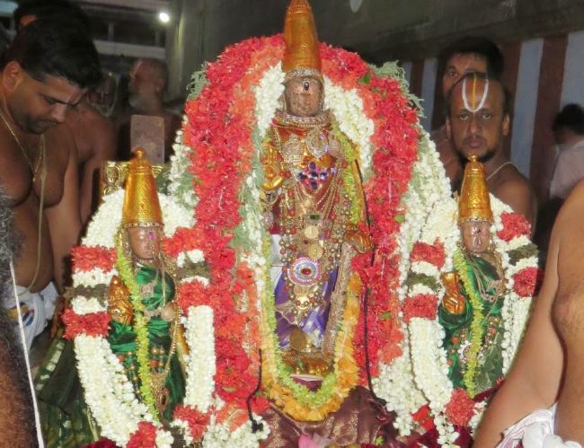 Kanchi Sri Devaperumal Manmadha Ammavasai Purappadu  2015 28