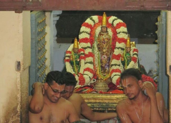 Kanchi Sri Devaperumal Manmadha Ammavasai Purappadu  2015 31
