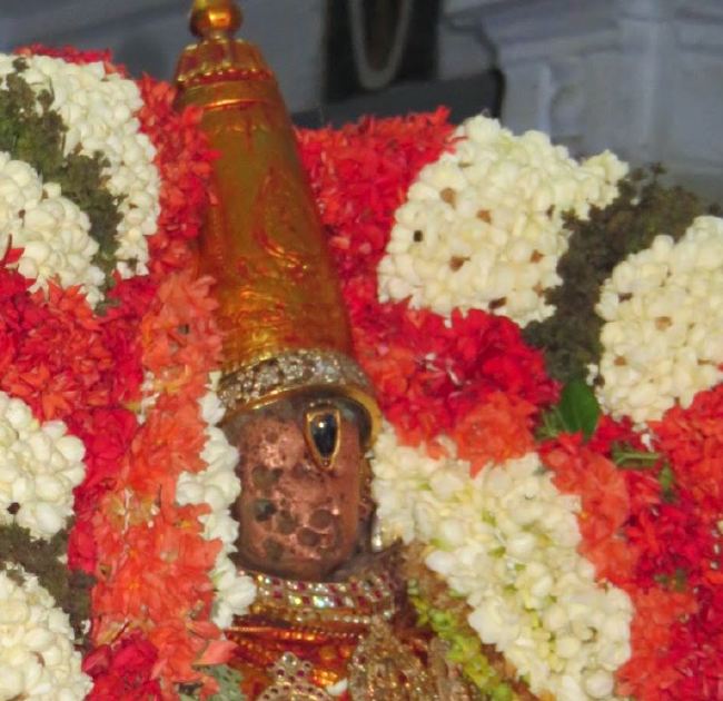 Kanchi Sri Devaperumal Manmadha Ammavasai Purappadu  2015 34