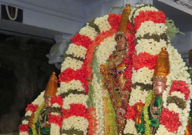 Kanchi Sri Devaperumal Manmadha Ammavasai Purappadu  2015 36