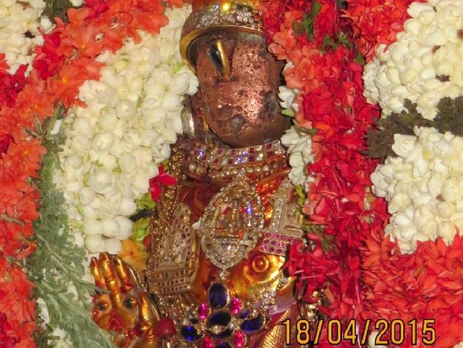 Kanchi Sri Devaperumal Manmadha Ammavasai Purappadu  2015 37
