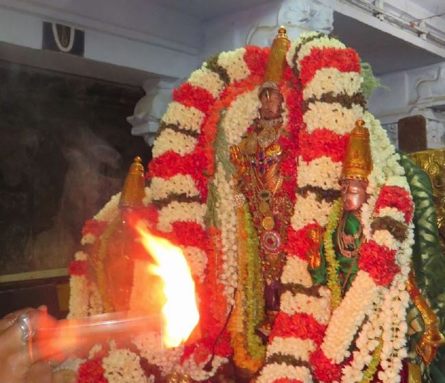 Kanchi Sri Devaperumal Manmadha Ammavasai Purappadu  2015 38