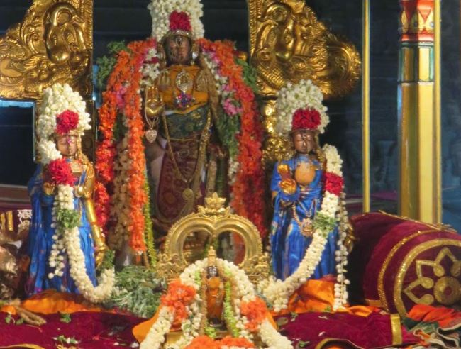 Kanchi Sri Devaperumal Pallava Utsavam concludes  2015 12