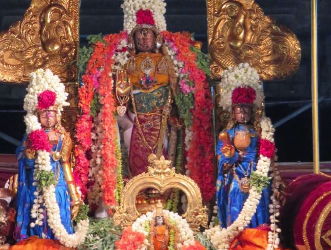 Kanchi Sri Devaperumal Pallava Utsavam concludes  2015 14