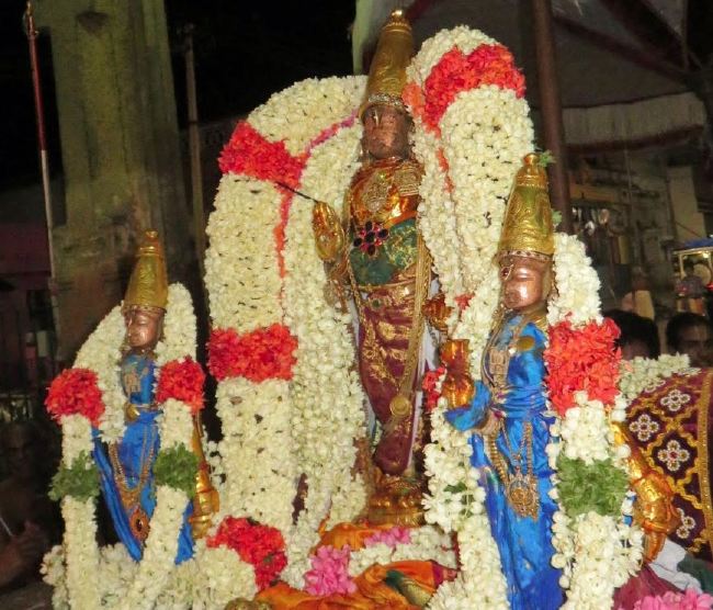 Kanchi Sri Devaperumal Pallava Utsavam concludes  2015 24