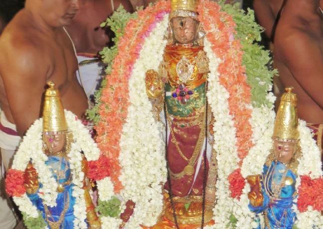 Kanchi Sri Devaperumal Pallava Utsavam concludes  2015 46