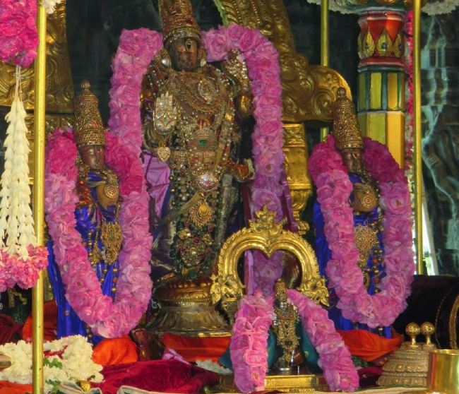 Kanchi Sri Devaperumal Pallava Utsavam day 3-2015 07