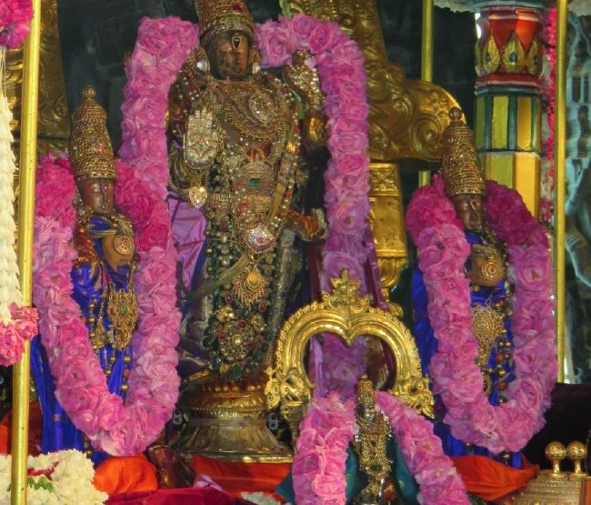 Kanchi Sri Devaperumal Pallava Utsavam day 3-2015 09