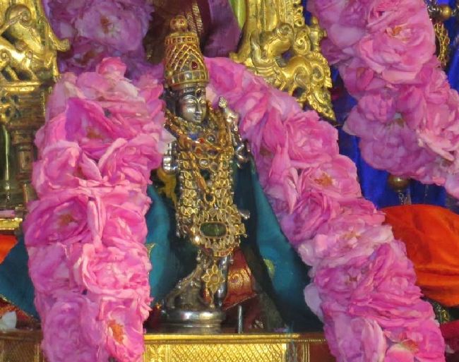 Kanchi Sri Devaperumal Pallava Utsavam day 3-2015 10