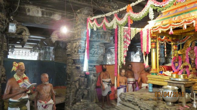 Kanchi Sri Devaperumal Pallava Utsavam day 3-2015 16