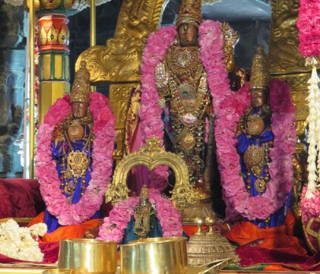 Kanchi Sri Devaperumal Pallava Utsavam day 3-2015 17