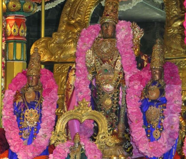 Kanchi Sri Devaperumal Pallava Utsavam day 3-2015 18