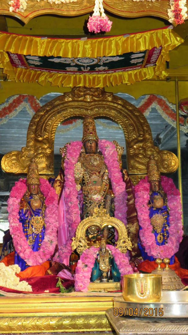 Kanchi Sri Devaperumal Pallava Utsavam day 3-2015 19