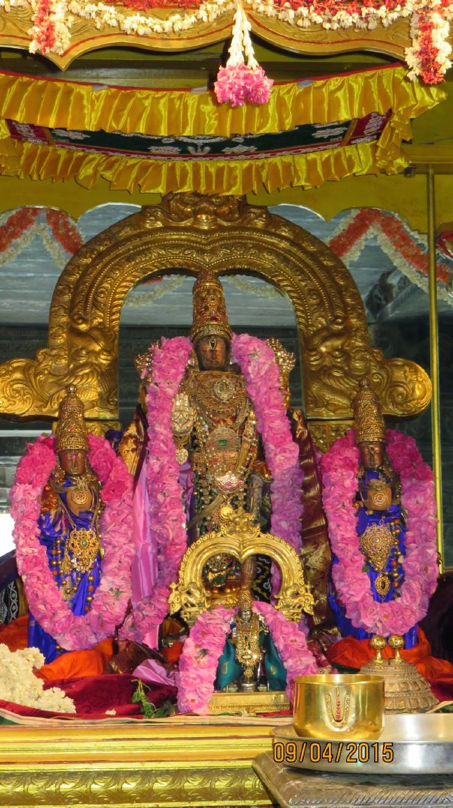 Kanchi Sri Devaperumal Pallava Utsavam day 3-2015 20