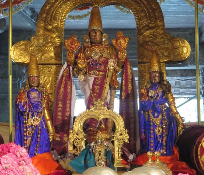 Kanchi Sri Devaperumal Pallava Utsavam day 3-2015 22