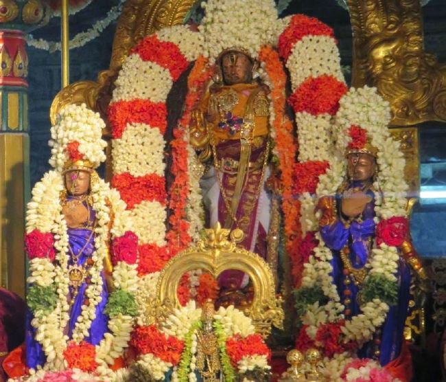 Kanchi Sri Devaperumal Pallava Utsavam day 3-2015 24