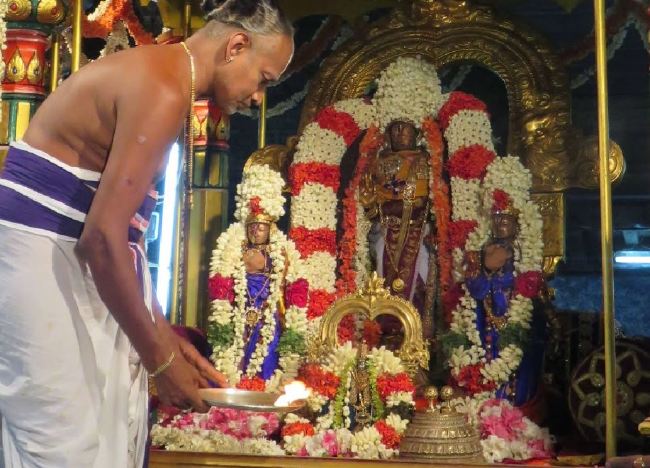 Kanchi Sri Devaperumal Pallava Utsavam day 3-2015 26