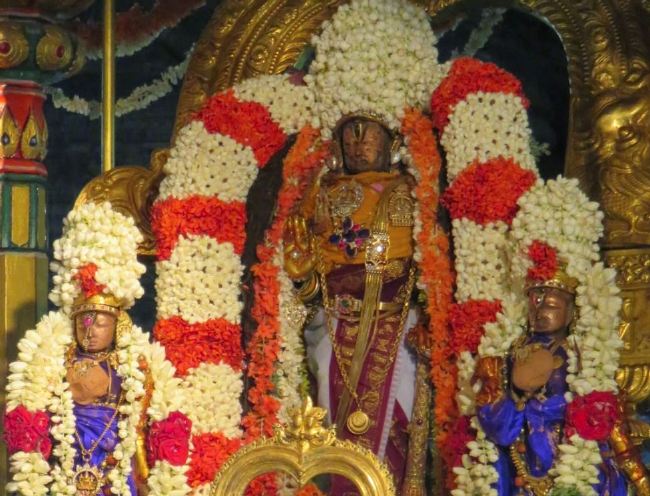 Kanchi Sri Devaperumal Pallava Utsavam day 3-2015 27