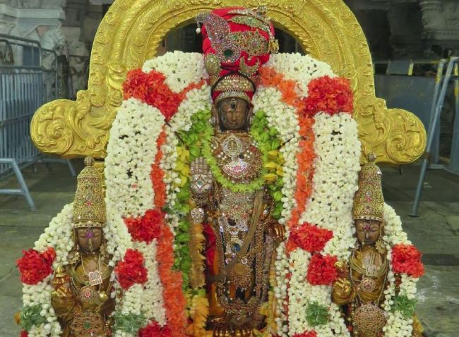Kanchi Sri Devaperumal Panguni Uthiram utsavam Gandhapodi Vasantham 2015 -06